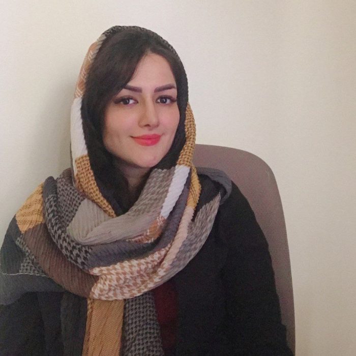 سرکار خانم ربطی